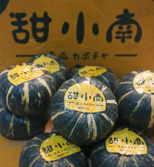 香蜜小瓜怎么吃最好吃视频,视频教你最佳食用方法