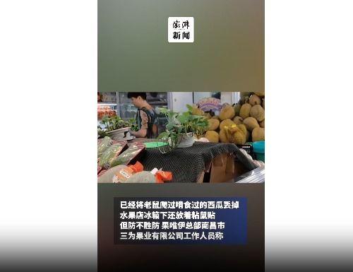 吃瓜作者视频素材网站,视频素材网站的幕后故事