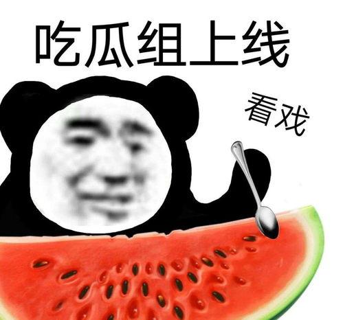 视频聊天吃瓜,揭秘网络社交的趣味瞬间